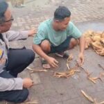 Unit Bhabinkamtibmas Giat Sambangi Pedagang Kelapa Pasar Babakan Dalam Implementasi Program Jaga Jakarta