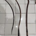 Cegah Tawuran, Unit Resmob Polsek Ciledug Tangkap Pemuda bawa Senjata Tajam Dan Corbek Di Karang Tengah