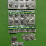 Aksi Mencurigakan Di Tengah Kemacetan Jalan Raya, Dua Pria Diamankan Tim Patroli Perintis Presisi Bawa Puluhan Pil Terlarang