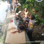 Terima Laporan Warga, Polisi Tambora Langsung Evakuasi Korban Jatuh Ke Kali