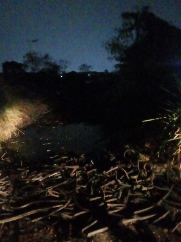 IMG-20260909-WA0175