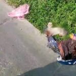 Teganya Seorang Ibu Kandung !!! Warga Gempol Sari Digegerkan Penemuan Jasad Bayi Terbungkus Dengan Kain Di Dalam Kantong Plastik